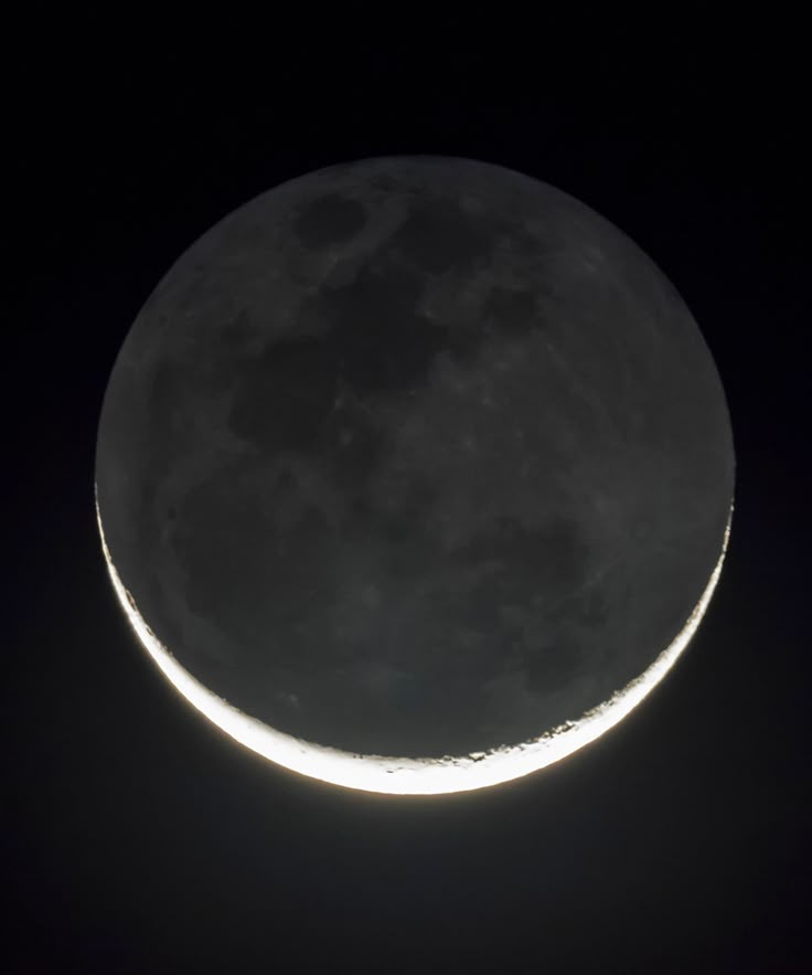 24 Temmuz 2025 Aslan Yeniayı